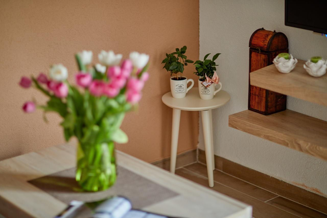 Passage Apartments Kotor Dış mekan fotoğraf